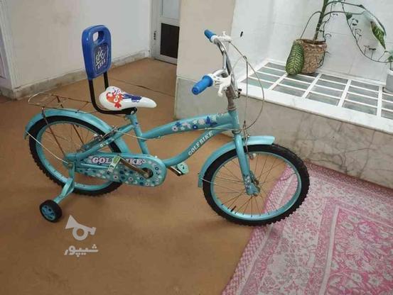 دوچرخه بیست در گروه خرید و فروش ورزش فرهنگ فراغت در فارس در شیپور-عکس1