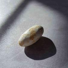 خرمهره اصل کامل تضمینی