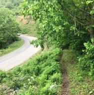 فروش یا معاوضه زمین 3,100 متری در رحیم آباد