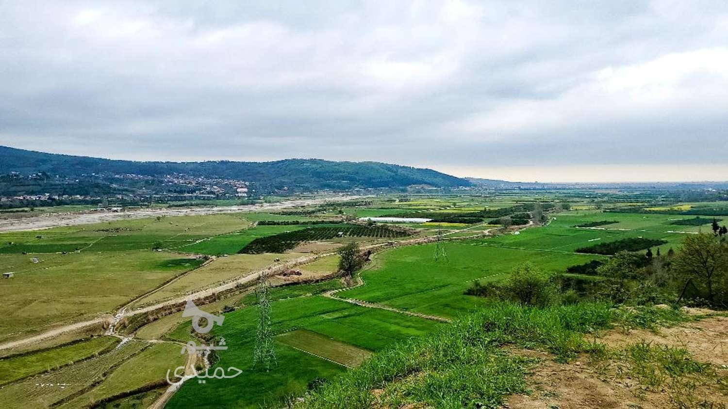 زمین 2,700 متری در تنگ لته در گروه خرید و فروش املاک در مازندران در شیپور-عکس1