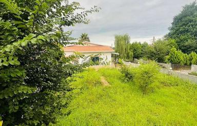 زمین مسکونی سند تک برگ