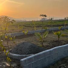 فروش زمین مسکونی 160 متر