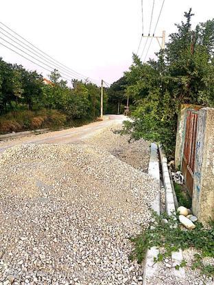 450 متر زمین مسکونی با سند تک برگ در گروه خرید و فروش املاک در مازندران در شیپور-عکس1
