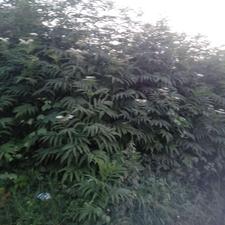 فروش زمین مسکونی 414 متر در مرکز شهر