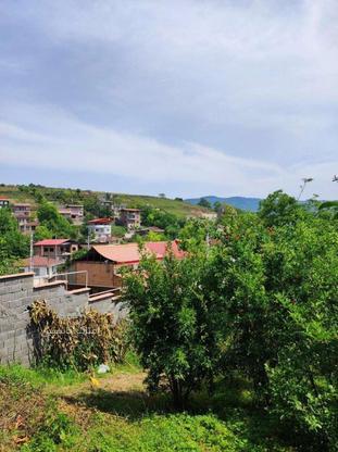 فروش زمین 270 متر در زیراب روستای کچید با چشم انداز ابدی در گروه خرید و فروش املاک در مازندران در شیپور-عکس1