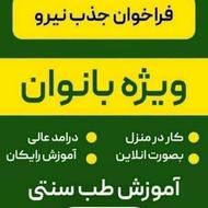 استخدامی طب سنتی