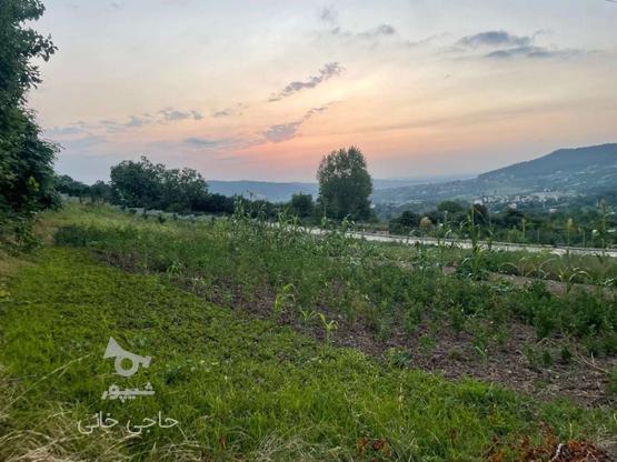 فروش زمین مسکونی 470 متر در پایین کولا در گروه خرید و فروش املاک در مازندران در شیپور-عکس1