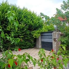 اجاره روزانه 250متر ویلا استخردار 3خواب