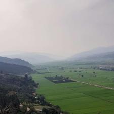 فروش زمین کشاورزی 600 متر در پرچیکلا