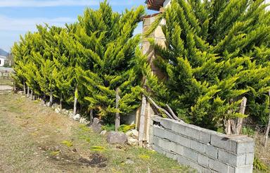 فروش زمین مسکونی 130 متر در تجن کلا - زوات