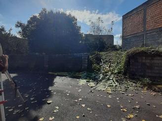 فروش زمین مسکونی 235 متر در طالب آملی