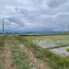 فروش زمین کشاورزی 1680 متر در چینی جان