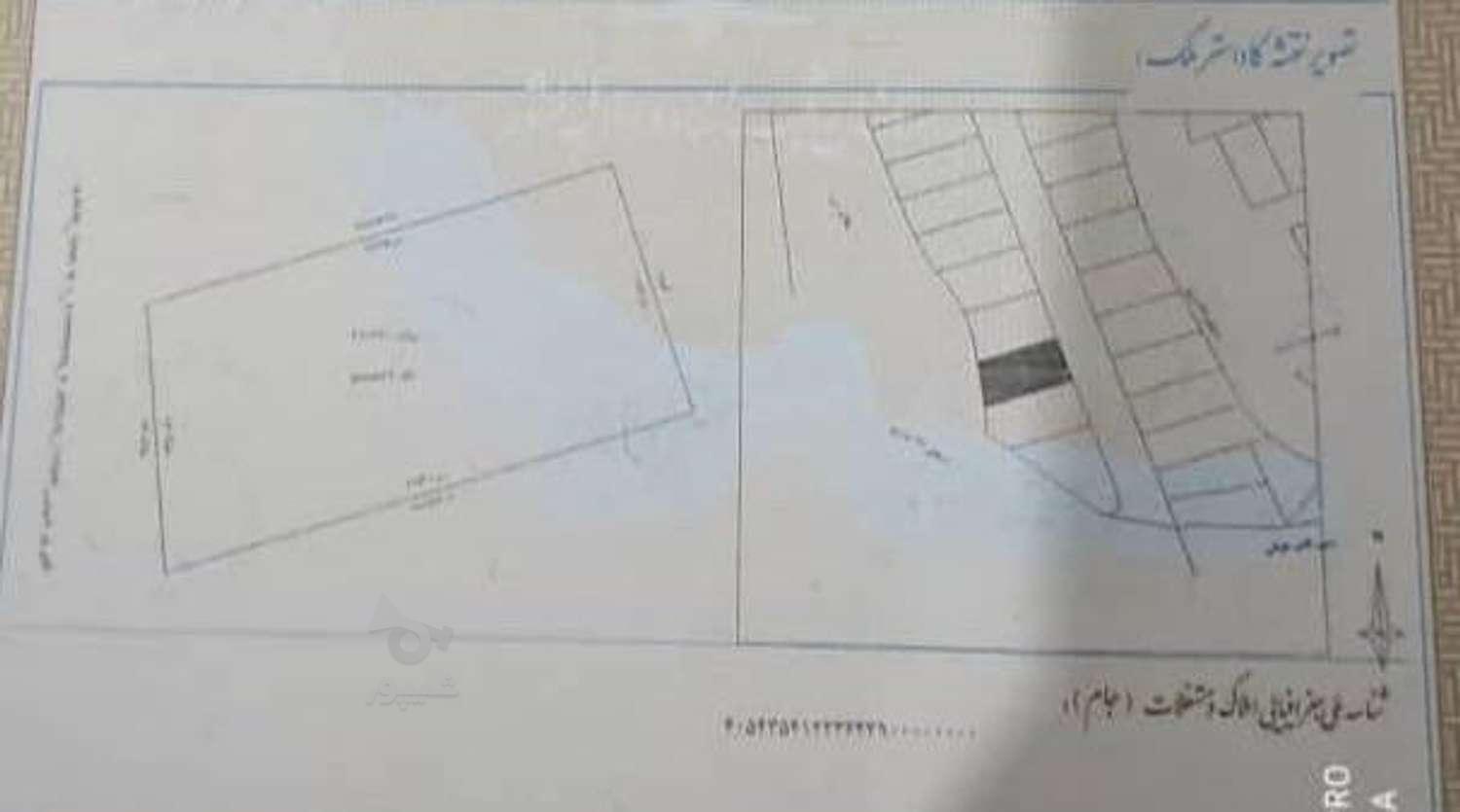 فروش زمین مسکونی 220 متر با سند استانه اشرفی اصفهانی در گروه خرید و فروش املاک در گیلان در شیپور-عکس1