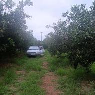 فروش زمین کشاورزی 2925 متر در خلخال محله قدیم