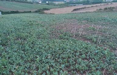 زمین زراعی در روستای خارکش2700 متر