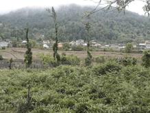 زمین مسکونی 630 متری باکاربری تجاری مسکونی در کریم آباد در شیپور