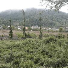 زمین مسکونی 630 متری باکاربری تجاری مسکونی در کریم آباد