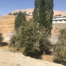 زمین مسکونی 385 متری در ییلاق پلور منظریه