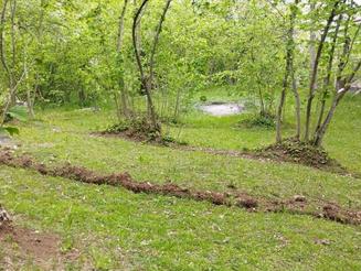 زمین 850 متری در روستای شوییل