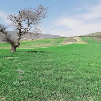 فروش زمین 8618 متر کیاسر روستای تلوکلا در گروه خرید و فروش املاک در مازندران در شیپور-عکس1