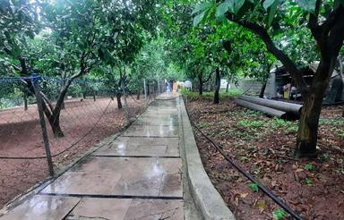 فروش باغ ویلا 120 متری در قادیکلا