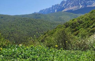 زمین در دهکده زیبای زیبای ورپی معروف به سوئیس ایران