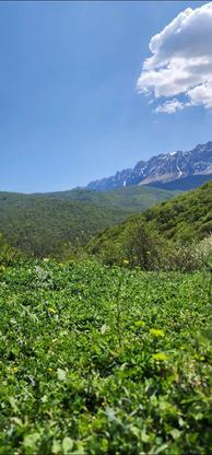 زمین در دهکده زیبای زیبای ورپی معروف به سوئیس ایران در گروه خرید و فروش املاک در مازندران در شیپور-عکس1