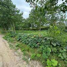 600 متر زمین ساحلی قابل تبدیل به چهار پلاک