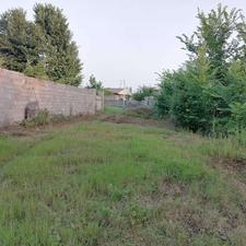 فروش زمین مسکونی 250 متر در زیباکنار