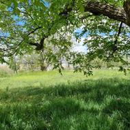 زمین کشاورزی 1200 متر