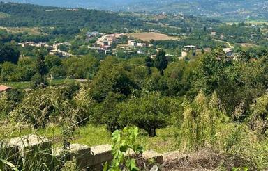 زمین 6000 متر ساری تنگه لته مناسب ساخت ویلا یا باغ