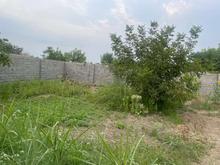 فروش زمین مسکونی 350 متر در صفر آباد در شیپور