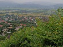 400 متر زمین داخل بافت در بام شیردارکلا در شیپور