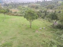 زمین مسکونی 250 متر در بابلکنار در شیپور