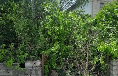 فروش وتهاترزمین دارای سندتک برگ بلوارکریمی315متر