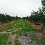 فروش زمین مسکونی 200 متر در جاده کیاکلا