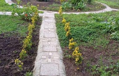 فروش ویلا 1700 متر در لیالستان