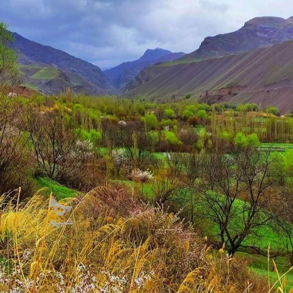 خانه ویلایی 1,600 متری در طالقان در گروه خرید و فروش املاک در البرز در شیپور-عکس1