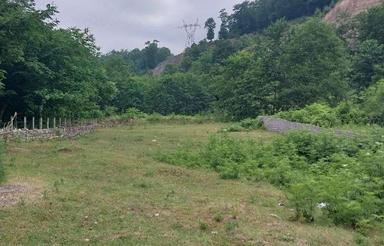 فروش زمین کشاورزی 370 متر در چالوس