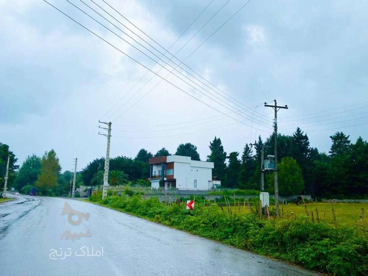 فروش زمین کشاورزی 500 متر در سیرجارون در گروه خرید و فروش املاک در مازندران در شیپور-عکس1