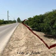 فروش زمین کشاورزی 30000 متر در پنبه چوله