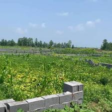 زمین مسکونی 300 متر قابل ساخت