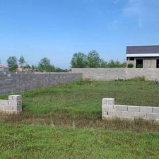 زمین 296 متر نزدیک به جاده اصلی