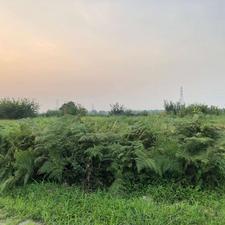 258 متر زمین، لوکیشن خوب بیجاربنه