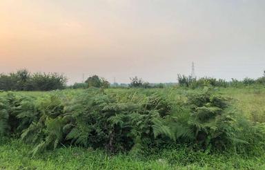 258 متر زمین، لوکیشن خوب بیجاربنه