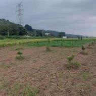 زمین 640 متری ورودی روستای پرچینک