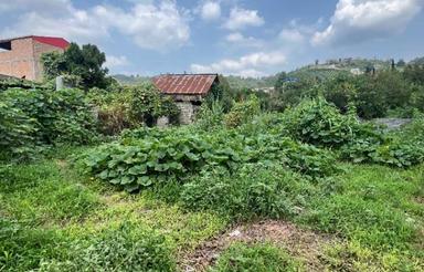 فروش زمین مسکونی 500 متر در شیردارکلا