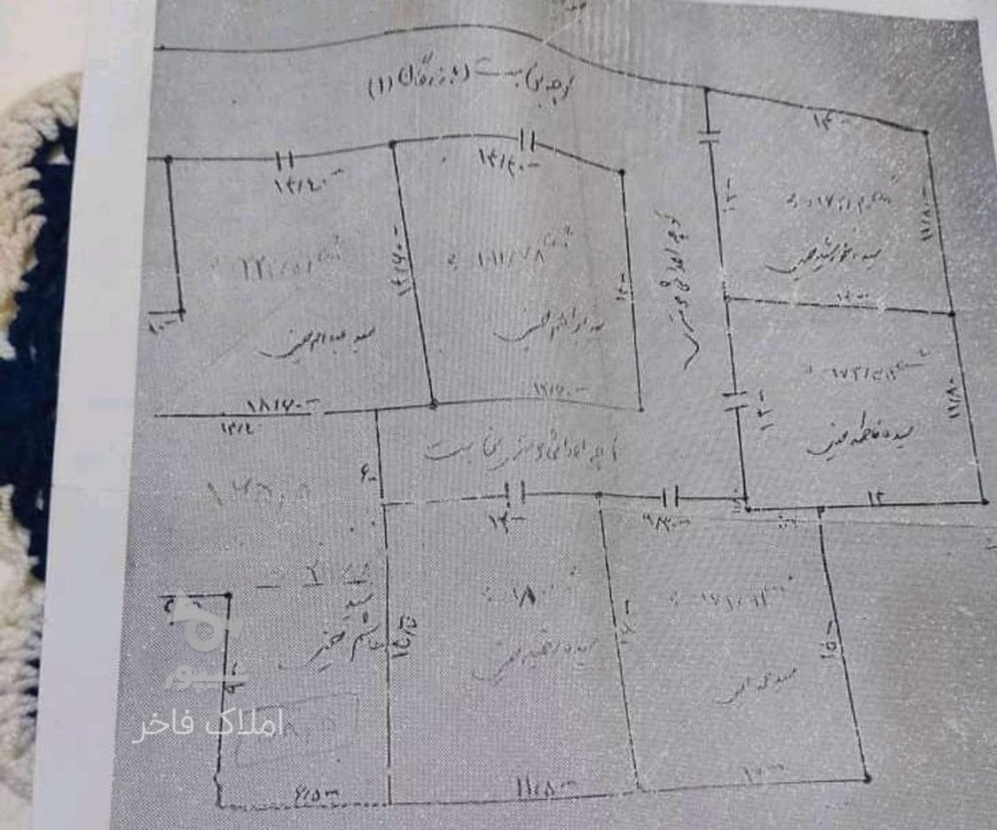 فروش زمین مسکونی شهری 224 متر مناسب ساخت در گروه خرید و فروش املاک در گیلان در شیپور-عکس1