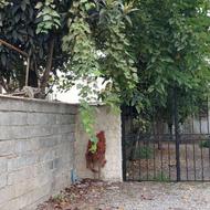 زمین سنددارقابل ساخت170متری پلاک 1جنگل
