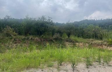 فروش زمین مسکونی 500 متر در بابلکنار